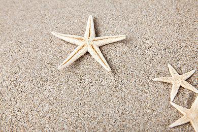 收看《坎巴拉太空计划2》全新抢先体验游戏预告片，助您飞得更高